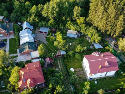 Россиян предупредили о штрафе до 300 тыс. рублей за мяту на даче